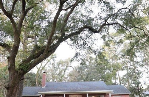 Tallahassee House | Spacious Mid-Cent Home, Close to FSU/Stadium, FAMU, TCC, Capitol and Hospitals