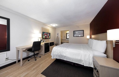 East Naples Hotel | Spacious, Pet-Friendly Naples Room for Families – Includes Pool