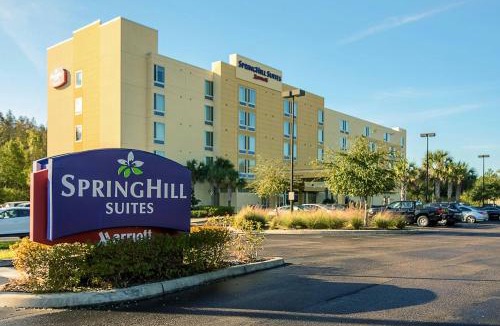 New Tampa Hotel | SpringHill Suites Tampa North/Tampa Palms