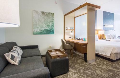 New Tampa Hotel | SpringHill Suites Tampa North/Tampa Palms