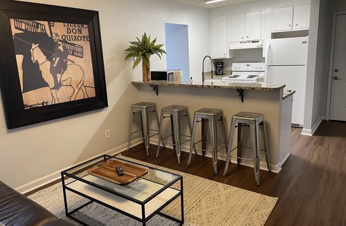 Auburn Apartment | Steps away from Toomers