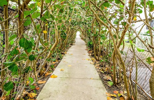 Palm Beach Shores Condo | Steps to Beach: Hot Tub, Fire Pit & Dog-Friendly