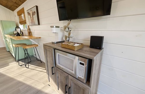 Lake City Cabin | Stylish Cabin - Nearby Springs