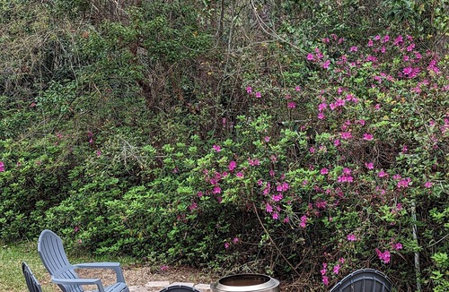 San Luis House | Tallahassee Family Retreat - close to FSU!