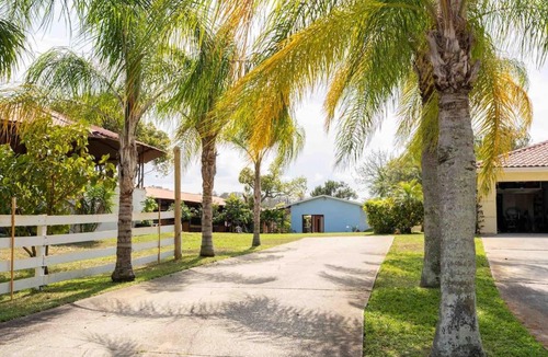 East Lake Apartment | Tampa Bay Oasis