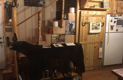 Henry Cabin | THE CABIN ON THE MAYO RIVER. SURROUNDED BY STATE PARK. PRIVATE WATERFRONT