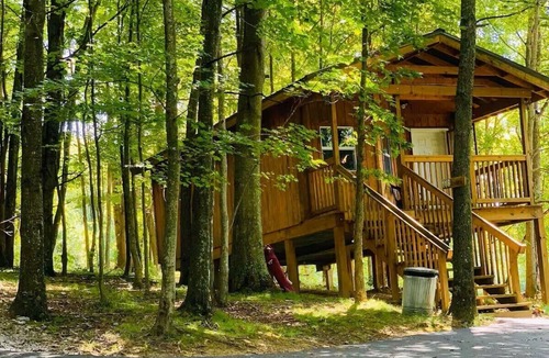 Southern Cabin | The Fox Den: A Peaceful Escape Along Back of the Dragon