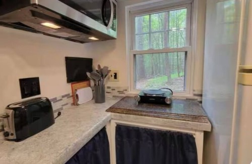 Suches Cottage | The Rabbit Hole-Trillium Tiny Home with Hottub - Pet Friendly