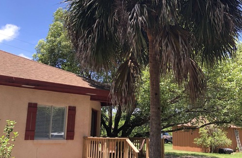 Eastpoint Apartment | Three Little Birds cozy cottage 10 min from St. George Island and Apalachicola!