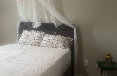 Westside Apartment | tranquil rainforest themed stay 10 minutes from downtown