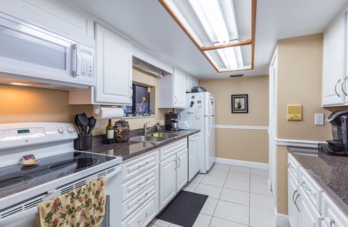 Temple Terrace Apartment | *UPDATED* 3BD/2BA Cozy Condo near Busch Gardens