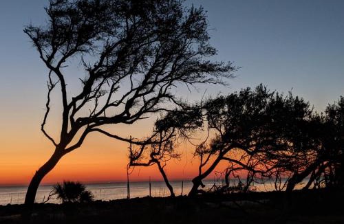 Jekyll Island House | Villa 185 - Annabelle By The Sea