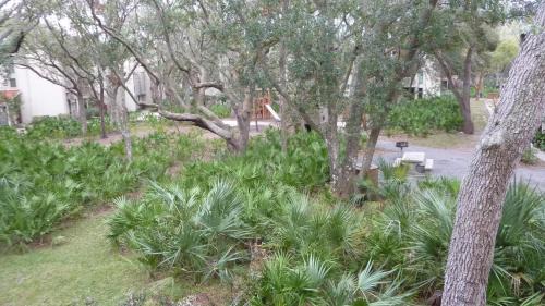Jekyll Island House | Villa 212 - Oceanbreeze