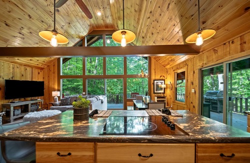 Walnut Mountain Cabin | Waterfall Lake Retreat – Private Lake Access with Views, Canoes & Hot Tub!