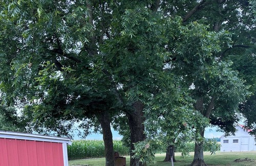 Como House | Welcome to the country!