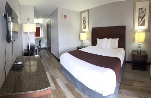 Forest Park Hotel | Western Inn