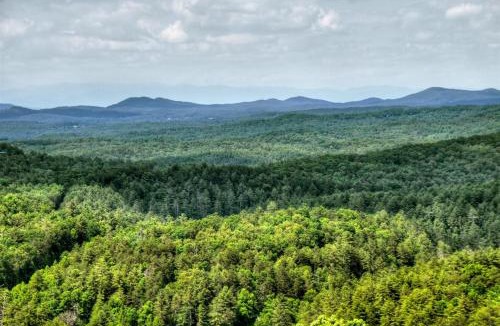 Raccoon Ridge House | Yogis Retreat
