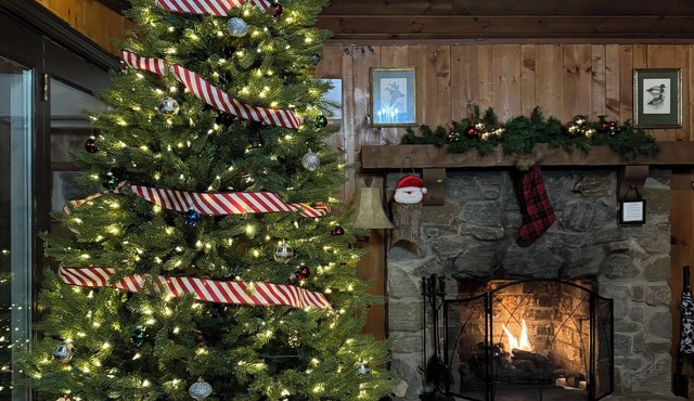 2 BR, 2 BA rustic mountainside cabin - winter availability and no cleaning fee!