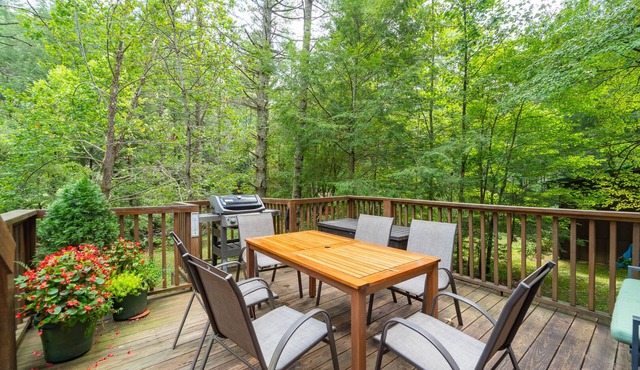3BR cottage on the Toccoa River; fish from the yard, stargaze at the firepit!