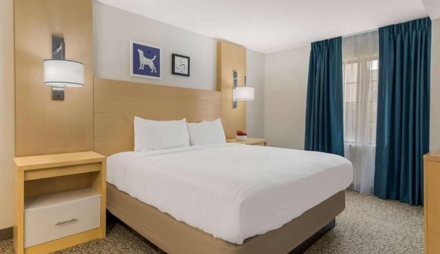 4 Pet-Friendly Suites with Kitchen and Free Breakfast Close to Attractions