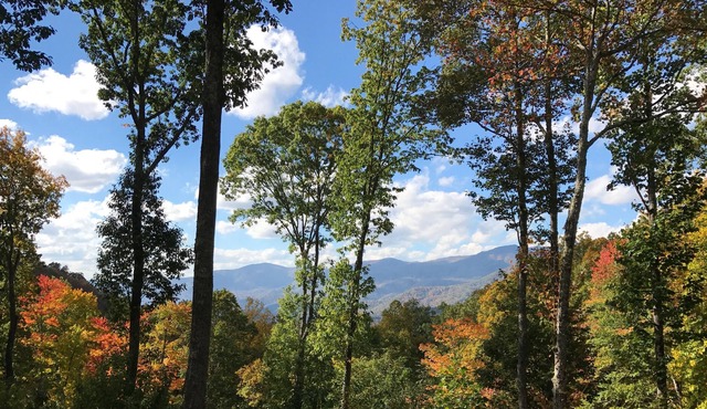 Beautiful And Luxurious 4 BR Family Retreat In An Upscale Private Community