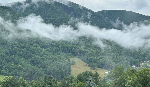 Beautiful Misty Mountain Views from a quaint cottage in Maggie Valley!