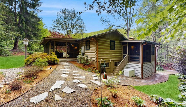 Bird-watcher's creekside cabin with screened porch, fireplace, yard, & firepit
