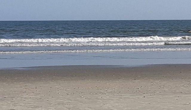 Borders Coastal Carolina University 25 min from beach. Quiet neighborhood.
