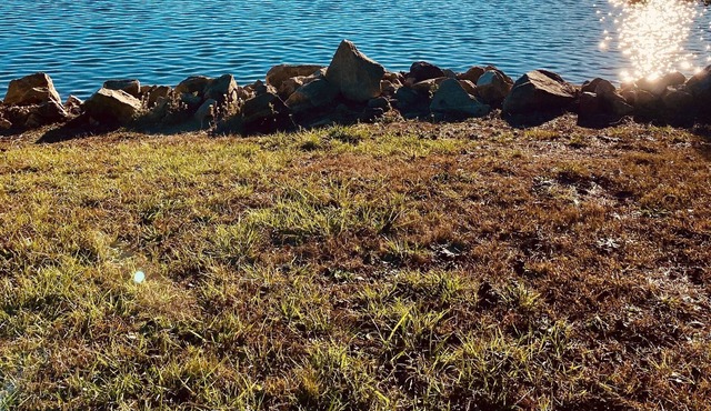 Cabins at Lake Hartwell