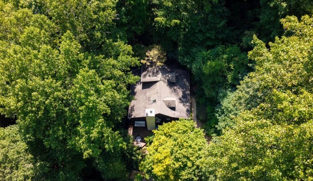 Calming Tree House - Pet Friendly Mountain Hideaway