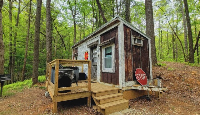 Chipmunk Chalet Tinyhome, nestled in the Chattahoochee National Forest w/hot tub