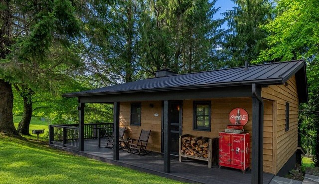 Coca-Cola Cabin @Fire Mountain Estate & Club. Endless views, Fire Pit, Jacuzzi!