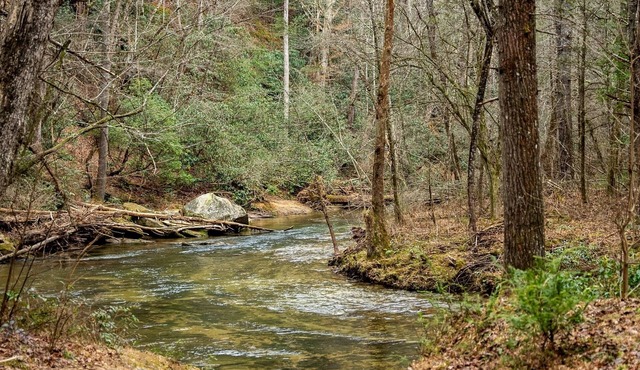 Eastatoee Bears Cabin A with Mtn and Waterfall Hikes