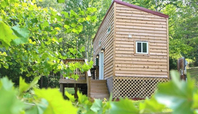 Enjoy Quiet and tranquility 2 private wooded acres!