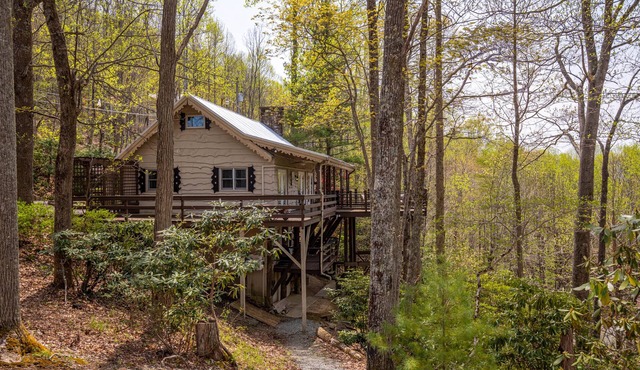 Heather Heights Cottage - Cozy cabin with a View and Fire Pit, minutes to Boone!