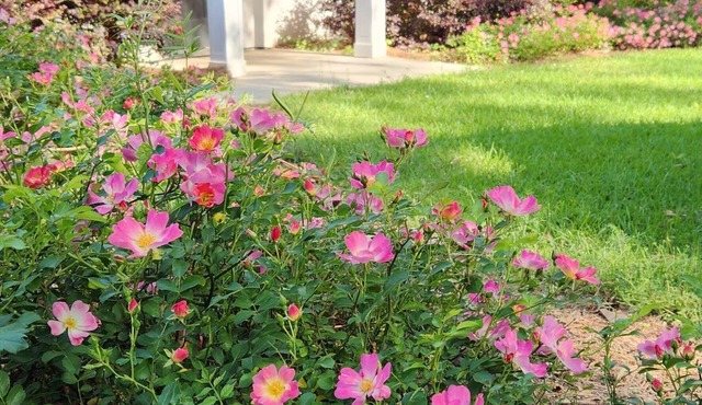 Lovely French inspired 2 bedroom cottage located in Historical Washington.
