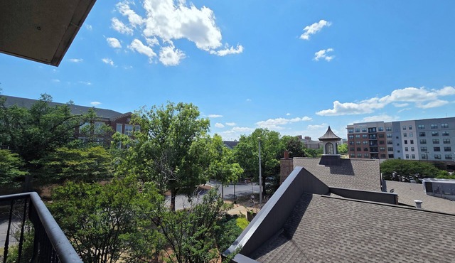 Luxury 2 bedroom/2 bath condo steps from Toomer's Corner Downtown Auburn