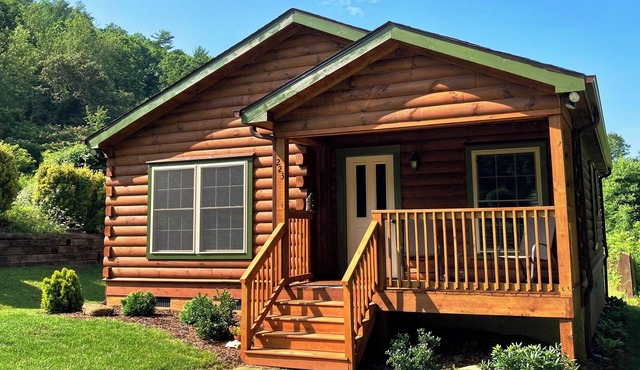 Mountain Cabin - Minutes to Downtown Asheville