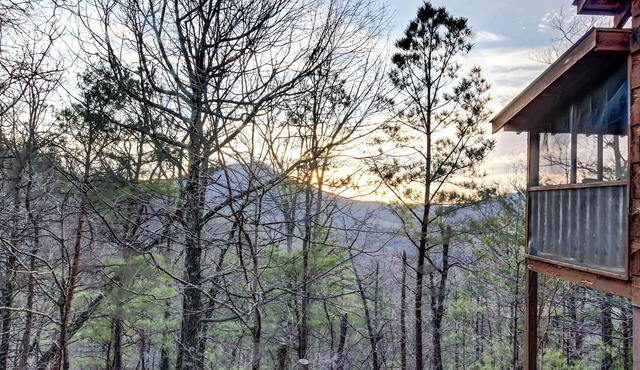 Mtn View Cabin, Sleeps 4・N the Woods・Deck・Hot Tub
