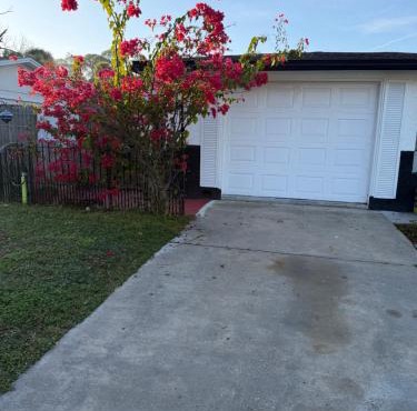 Nice private room with separate entrance