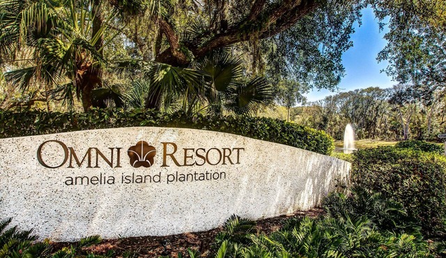 Oceanview Condo in Amelia Island Plantation With Balcony & Pool