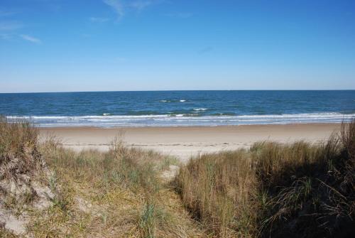 Old Time Beach Front Cottage - The Beach is your Backyard! Pet Friendly cottage