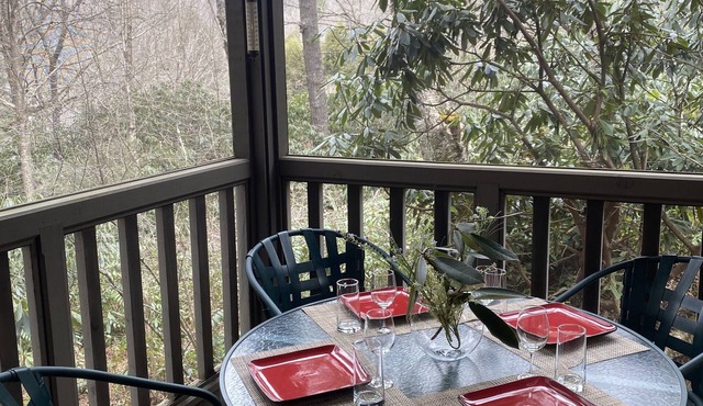Peaceful mountain condo in gated community only 1.3 miles from Highlands