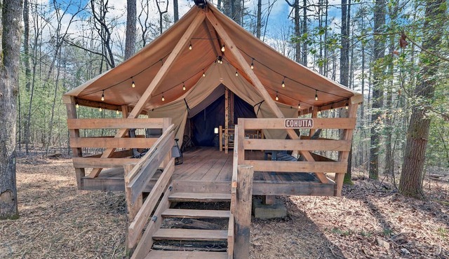 Pet-Friendly Glamping Retreat: Safari Tent Getaway in Suches, Georgia