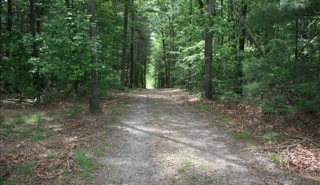 Private, Secluded, Relaxing Cabin. 1853 Ask about out WEDDING OPPORTUNITIES
