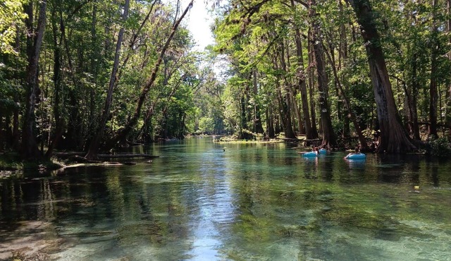RV stay on private land The Paisley Hideout Close to springs, parks, & Daytona