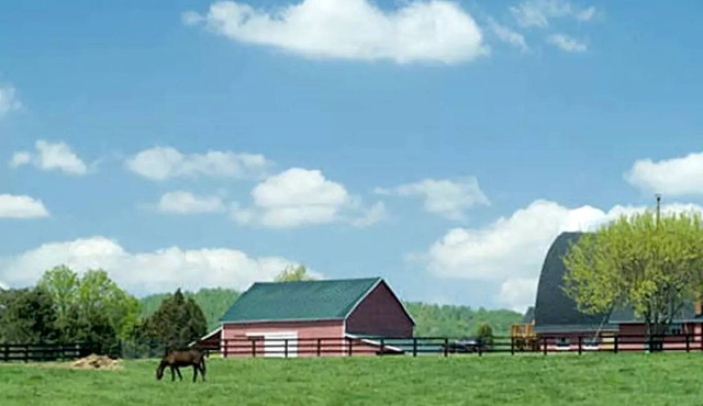 Spacious Modular Rental on Huge Horse and Cattle Farm near Charlottesville, Virginia