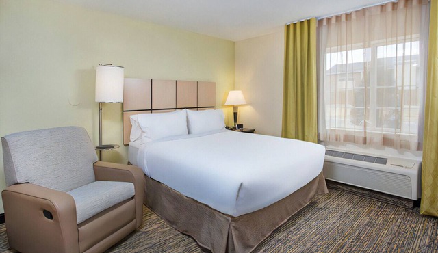 Spacious & Pet-Friendly Suite with Full Kitchen