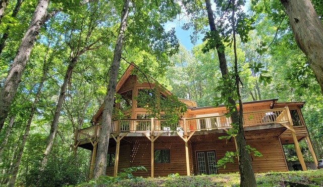 Spacious, Wooded views near HELEN and Dahlonega