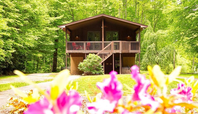 The Historic Ol Gun Range Cabin